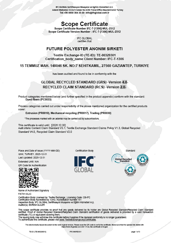 Future Scope Certificate-01