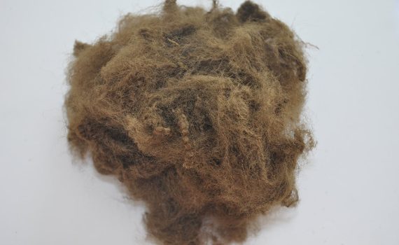 15D-51MM (BROWN) polyester elyaf